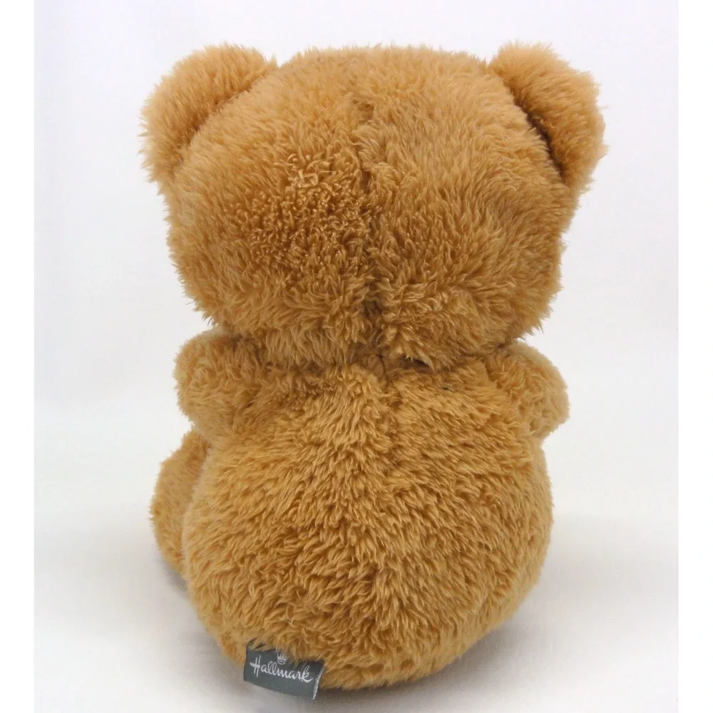 Hallmark Halloween Bandit Bear Plush Brown Orange Trick or Treat Mask MJN1488 9